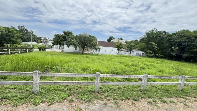 ที่ดินเปล่า ตำบลพญาเย็น, Nakhon Ratchasima, Phyayen, Pak Chong, Nakhon Ratchasima, , 1,352 sqm, Land For Sale, by ธนณัฎฐ์ ศตายุสกุลวงศ์, 500426593 - DDproperty.com