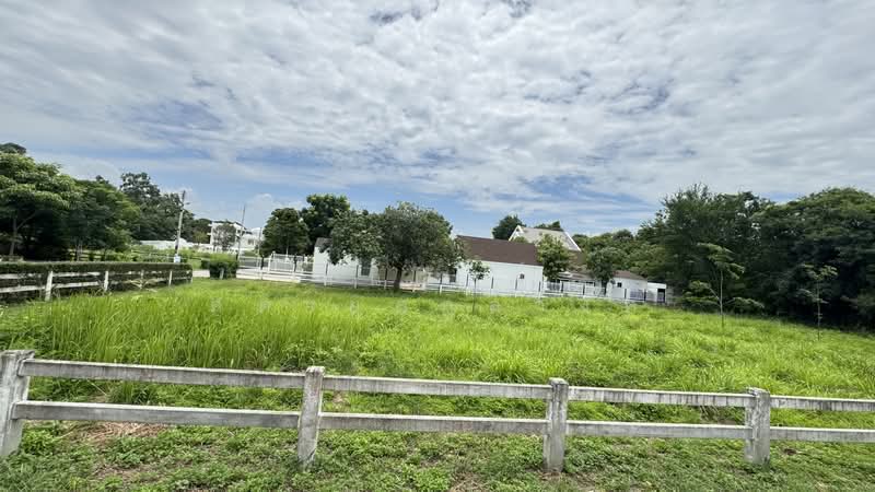 ที่ดินเปล่า ตำบลพญาเย็น, Nakhon Ratchasima, Phyayen, Pak Chong, Nakhon Ratchasima, , 1,352 sqm, Land For Sale, by ธนณัฎฐ์ ศตายุสกุลวงศ์, 500426593 - DDproperty.com