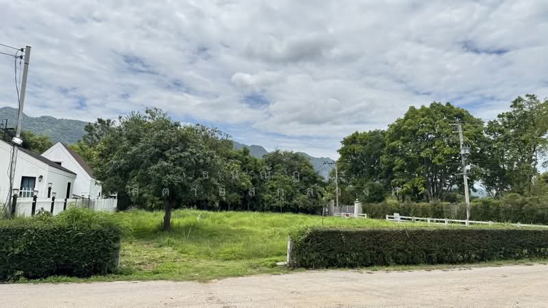 ที่ดินเปล่า ตำบลพญาเย็น, Nakhon Ratchasima, Phyayen, Pak Chong, Nakhon Ratchasima, , 1,352 sqm, Land For Sale, by ธนณัฎฐ์ ศตายุสกุลวงศ์, 500426593 - DDproperty.com