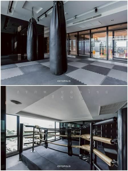 The Politan Rive : เดอะ โพลิแทน รีฟ, นนทบุรี, ซอยนนทบุรี 15, บางกระสอ, เมืองนนทบุรี, นนทบุรี, 30 ตร.ม., คอนโด ให้เช่า, โดย สรภพ ยอดไชย (สีฝุ่น), 500426658 - DDproperty.com