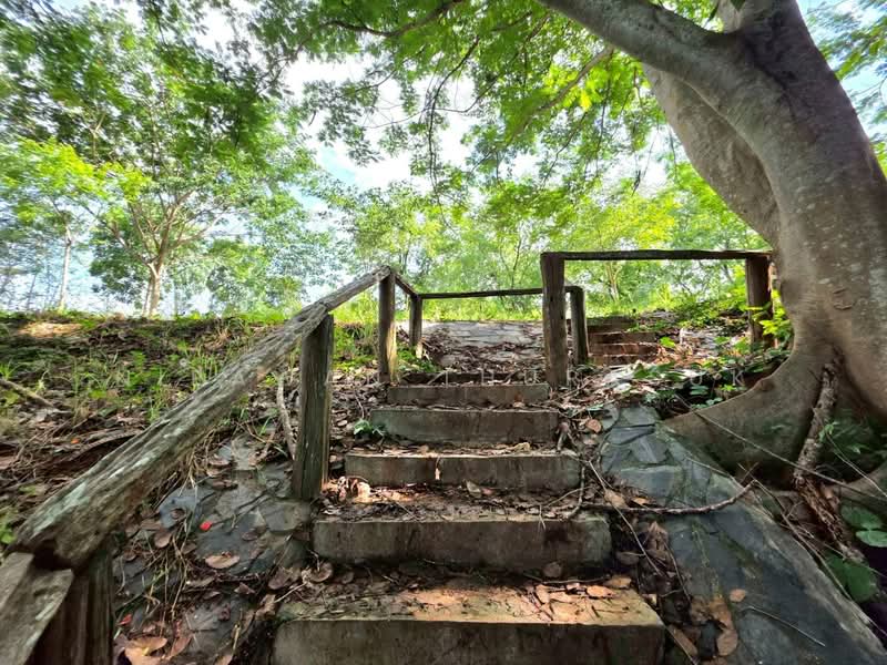 ปากช่อง, Nakhon Ratchasima, Pak Chong, Nakhon Ratchasima, , 2,528 sqm, Land For Sale, by Nipawan Thurasuk, 500426739 - DDproperty.com