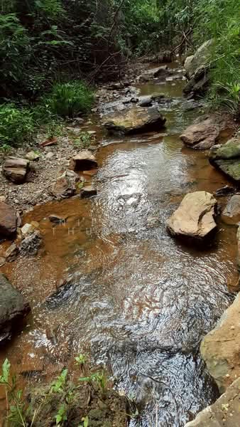 ปากช่อง, Nakhon Ratchasima, Pak Chong, Nakhon Ratchasima, , 2,528 sqm, Land For Sale, by Nipawan Thurasuk, 500426739 - DDproperty.com
