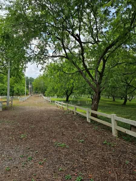 ปากช่อง, Nakhon Ratchasima, Pak Chong, Nakhon Ratchasima, , 2,528 sqm, Land For Sale, by Nipawan Thurasuk, 500426739 - DDproperty.com