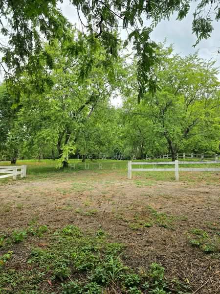 ปากช่อง, Nakhon Ratchasima, Pak Chong, Nakhon Ratchasima, , 2,528 sqm, Land For Sale, by Nipawan Thurasuk, 500426739 - DDproperty.com