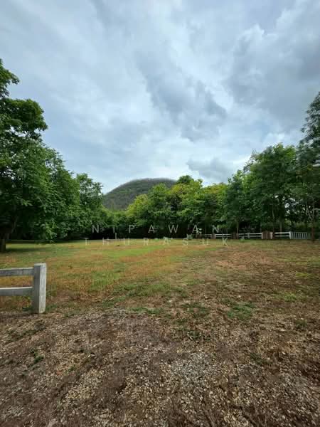 ปากช่อง, Nakhon Ratchasima, Pak Chong, Nakhon Ratchasima, , 2,528 sqm, Land For Sale, by Nipawan Thurasuk, 500426739 - DDproperty.com