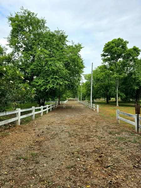 ปากช่อง, Nakhon Ratchasima, Pak Chong, Nakhon Ratchasima, , 2,528 sqm, Land For Sale, by Nipawan Thurasuk, 500426739 - DDproperty.com