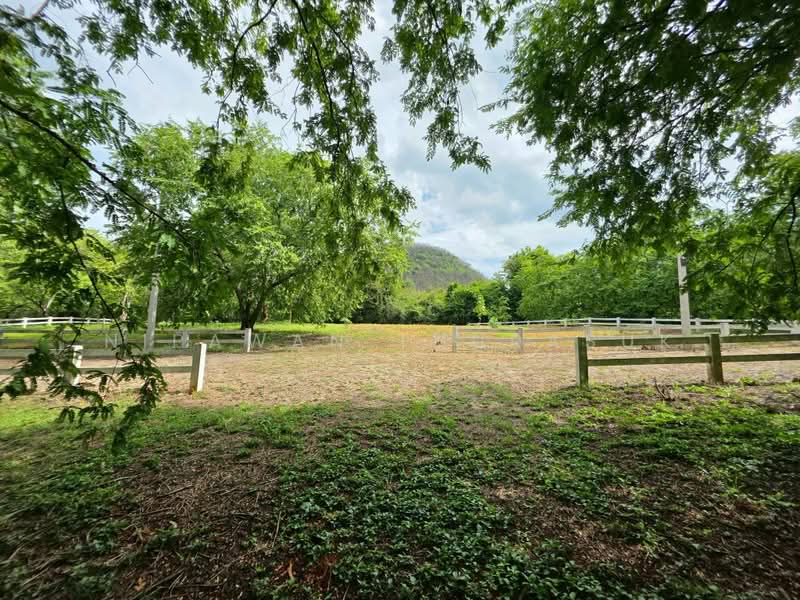 ปากช่อง, Nakhon Ratchasima, Pak Chong, Nakhon Ratchasima, , 2,528 sqm, Land For Sale, by Nipawan Thurasuk, 500426739 - DDproperty.com