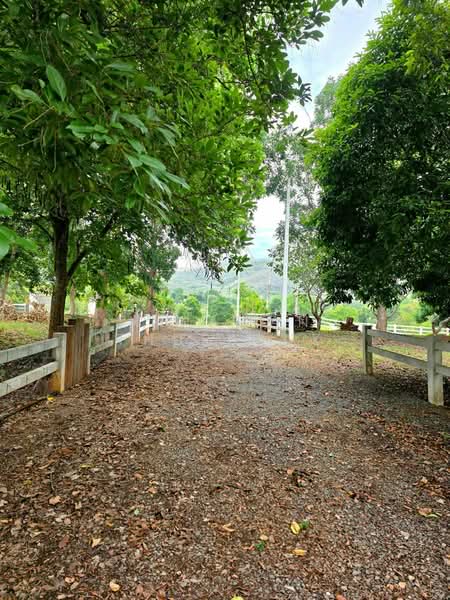 ปากช่อง, Nakhon Ratchasima, Pak Chong, Nakhon Ratchasima, , 2,528 sqm, Land For Sale, by Nipawan Thurasuk, 500426739 - DDproperty.com