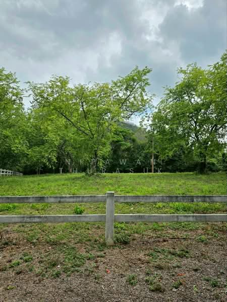 ปากช่อง, Nakhon Ratchasima, Pak Chong, Nakhon Ratchasima, , 2,528 sqm, Land For Sale, by Nipawan Thurasuk, 500426739 - DDproperty.com