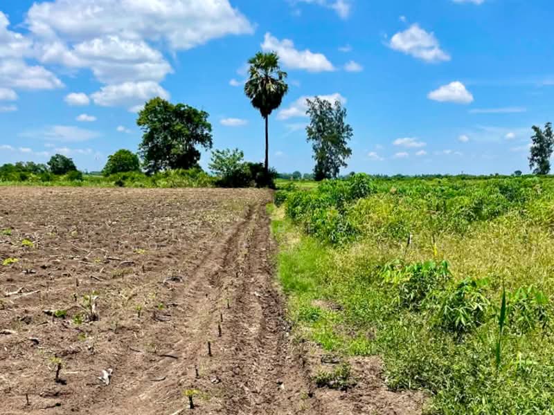 ที่ดินตากฟ้า นครสวรรค์, Nakhon Sawan, Nong Phikun, Tak Fa, Nakhon Sawan, , 22,744 sqm, Land For Sale, by The Best Property ต้นอ้อ, 500426829 - DDproperty.com