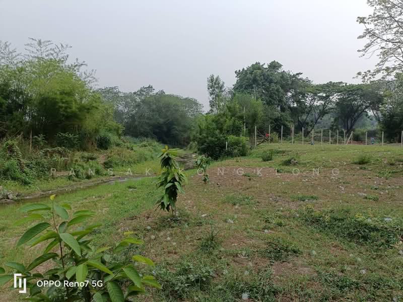 ที่ดินแปลงเล็ก วิวดอยหลวง หลังติดน้ำ ถนนคอนกรีต, Chiang Mai, 107, Mueng Na, Chiang Dao, Chiang Mai, , 736 sqm, Land For Sale, by Pansak Kongklong, 500426872 - DDproperty.com