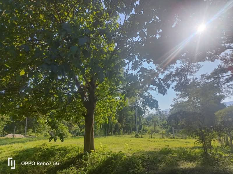 ที่ดินแปลงเล็ก วิวดอยหลวง หลังติดน้ำ ถนนคอนกรีต, Chiang Mai, 107, Mueng Na, Chiang Dao, Chiang Mai, , 736 sqm, Land For Sale, by Pansak Kongklong, 500426872 - DDproperty.com