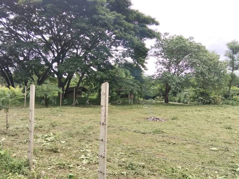 ที่ดินแปลงเล็ก วิวดอยหลวง หลังติดน้ำ ถนนคอนกรีต, Chiang Mai, 107, Mueng Na, Chiang Dao, Chiang Mai, , 736 sqm, Land For Sale, by Pansak Kongklong, 500426872 - DDproperty.com