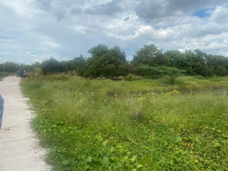 ที่ดินประตูป่า ลำพูน, Lamphun, Pratu Pa, Muang Lamphun, Lamphun, , 1,900 sqm, Land For Sale, by The Best Property บอย, 500426915 - DDproperty.com