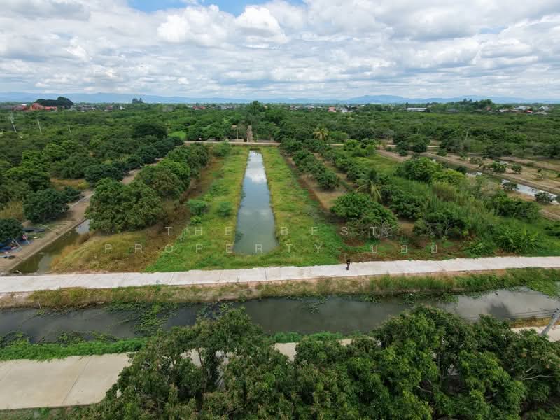 ที่ดินประตูป่า ลำพูน, Lamphun, Pratu Pa, Muang Lamphun, Lamphun, , 1,900 sqm, Land For Sale, by The Best Property บอย, 500426915 - DDproperty.com