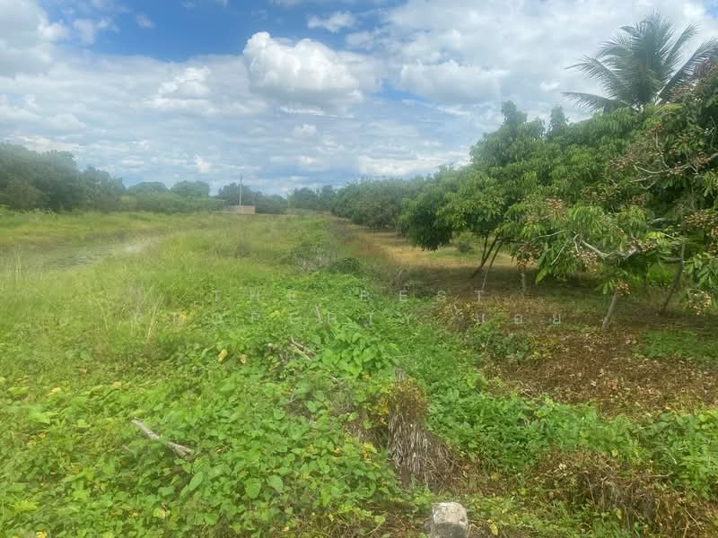 ที่ดินประตูป่า ลำพูน, Lamphun, Pratu Pa, Muang Lamphun, Lamphun, , 1,900 sqm, Land For Sale, by The Best Property บอย, 500426915 - DDproperty.com