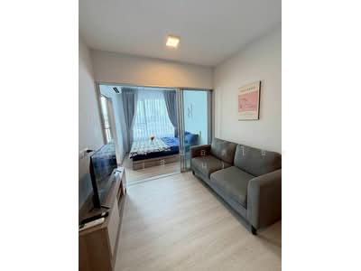 For Rent - Plum Condo Sukhumvit 62, Bangkok