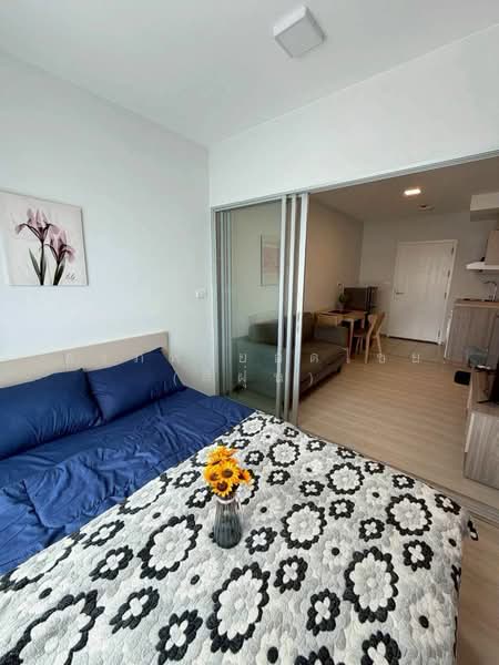 Plum Condo Sukhumvit 62 : พลัมคอนโด สุขมวิท 62, กรุงเทพ, ซอยสุขุมวิท 62, บางจาก, พระโขนง, กรุงเทพ, 30 ตร.ม., คอนโด ให้เช่า, โดย สรภพ ยอดไชย (สีฝุ่น), 500426922 - DDproperty.com