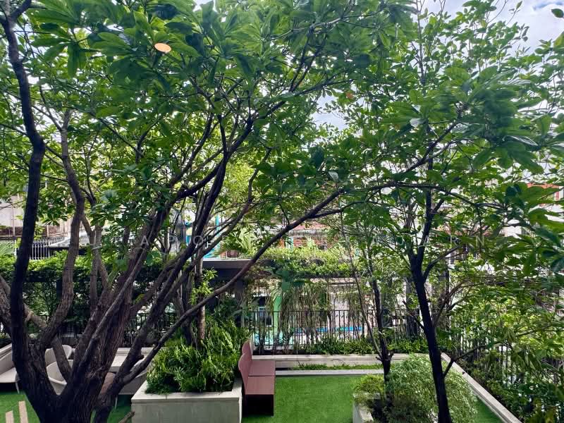 The Tree Charan 30 : เดอะ ทรี จรัญฯ 30, กรุงเทพ, 256 46 ถ. จรัญสนิทวงศ์, บ้านช่างหล่อ, บางกอกน้อย, กรุงเทพ, 45 ตร.ม., คอนโด ให้เช่า, โดย Supaporn Sekajarn, 500426937 - DDproperty.com
