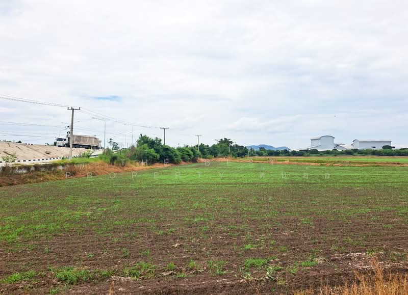 ที่ดินตาคลี นครสวรรค์, นครสวรรค์, สร้อยทอง, ตาคลี, นครสวรรค์, 54,516 ตร.ม., ที่ดิน ขาย, โดย The Best Property ต้นอ้อ, 500426960 - DDproperty.com