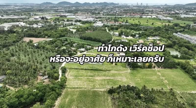 หนองขาม, ชลบุรี, หนองขาม, ศรีราชา, ชลบุรี, 7,936 ตร.ม., ที่ดิน ขาย, โดย Infinity EEC (Thailand) Co., Ltd., 500426964 - DDproperty.com
