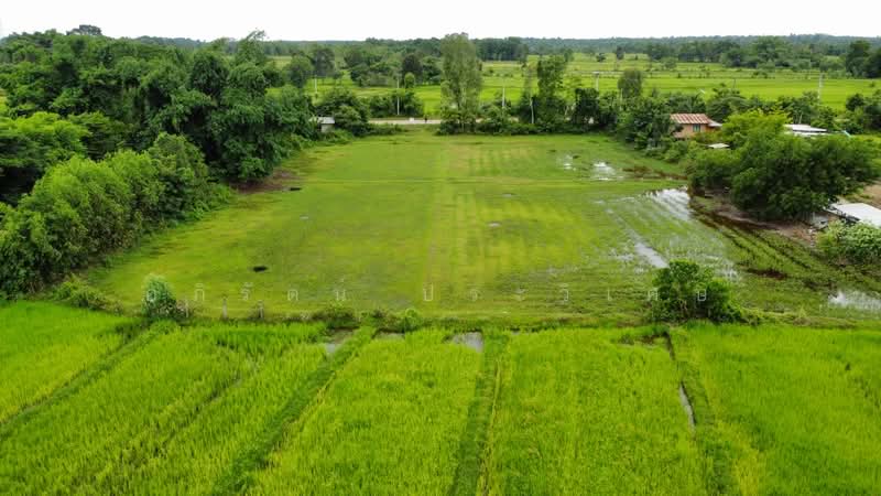 โพนสว่าง, Nong Khai, Khai Bok Wan, Muang Nong Khai, Nong Khai, , 6,176 sqm, Land For Sale, by อภิรัตน์ ประวิเศษ, 500427105 - DDproperty.com