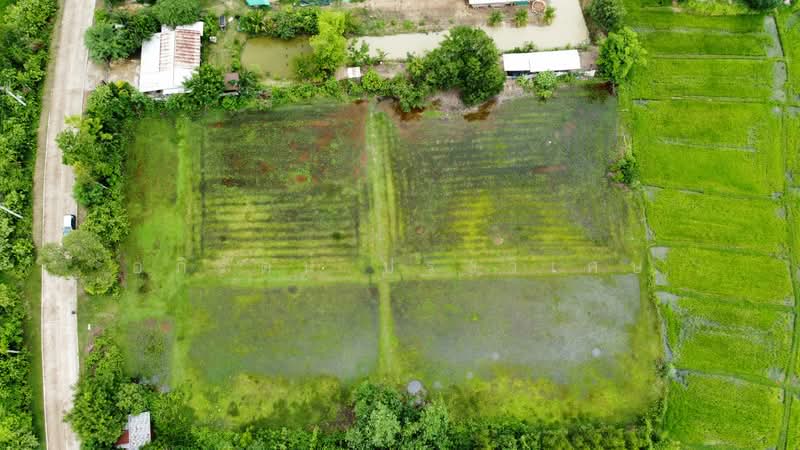 โพนสว่าง, Nong Khai, Khai Bok Wan, Muang Nong Khai, Nong Khai, , 6,176 sqm, Land For Sale, by อภิรัตน์ ประวิเศษ, 500427105 - DDproperty.com