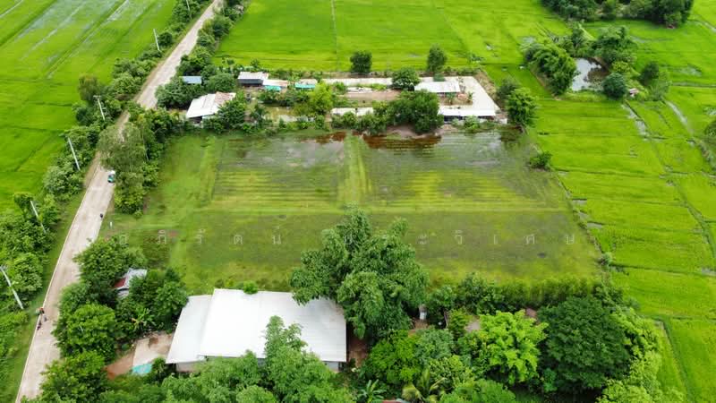 โพนสว่าง, Nong Khai, Khai Bok Wan, Muang Nong Khai, Nong Khai, , 6,176 sqm, Land For Sale, by อภิรัตน์ ประวิเศษ, 500427105 - DDproperty.com