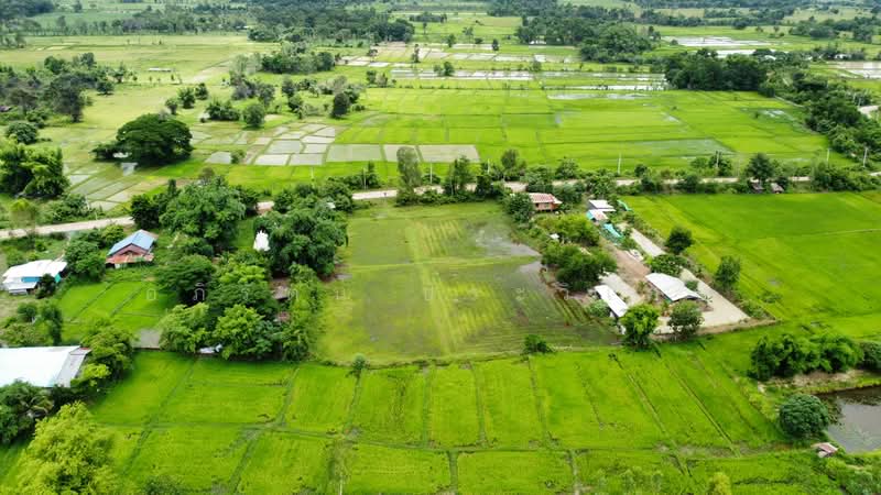 โพนสว่าง, Nong Khai, Khai Bok Wan, Muang Nong Khai, Nong Khai, , 6,176 sqm, Land For Sale, by อภิรัตน์ ประวิเศษ, 500427105 - DDproperty.com
