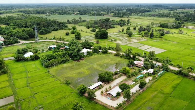 โพนสว่าง, หนองคาย, ค่ายบกหวาน, เมืองหนองคาย, หนองคาย, 6,176 ตร.ม., ที่ดิน ขาย, โดย อภิรัตน์ ประวิเศษ, 500427105 - DDproperty.com