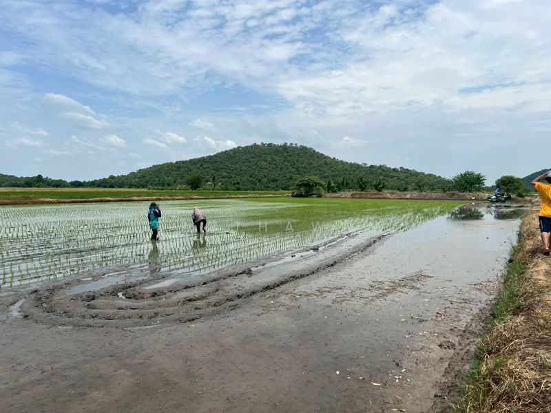 ที่ดินสวย สุพรรณบุรี 5 ไร่ 82.1 ตรว. อำเภอเดิมบางนางบวช, Suphan Buri, Khao Phra, Doembang Nangbuat, Suphan Buri, , 8,328 sqm, Land For Sale, by Panthawan Keeratithavornanan, 500427128 - DDproperty.com