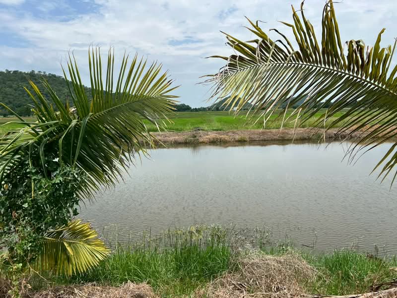 ที่ดินสวย สุพรรณบุรี 5 ไร่ 82.1 ตรว. อำเภอเดิมบางนางบวช, สุพรรณบุรี, เขาพระ, เดิมบางนางบวช, สุพรรณบุรี, 8,328 ตร.ม., ที่ดิน ขาย, โดย Panthawan Keeratithavornanan, 500427128 - DDproperty.com