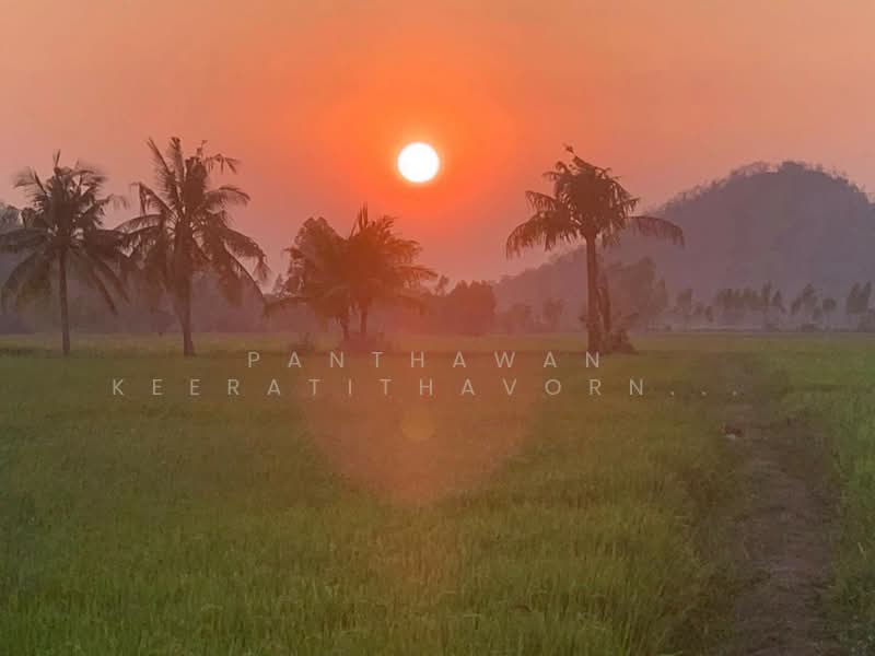 ที่ดินสวย สุพรรณบุรี 5 ไร่ 82.1 ตรว. อำเภอเดิมบางนางบวช, Suphan Buri, Khao Phra, Doembang Nangbuat, Suphan Buri, , 8,328 sqm, Land For Sale, by Panthawan Keeratithavornanan, 500427128 - DDproperty.com