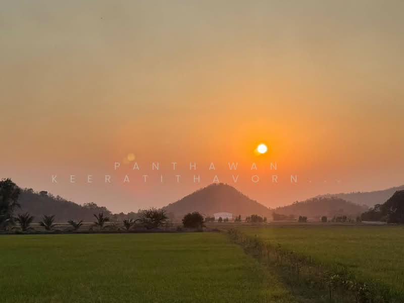 ที่ดินสวย สุพรรณบุรี 5 ไร่ 82.1 ตรว. อำเภอเดิมบางนางบวช, Suphan Buri, Khao Phra, Doembang Nangbuat, Suphan Buri, , 8,328 sqm, Land For Sale, by Panthawan Keeratithavornanan, 500427128 - DDproperty.com