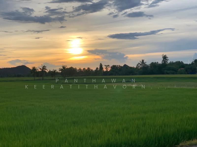 ที่ดินสวย สุพรรณบุรี 5 ไร่ 82.1 ตรว. อำเภอเดิมบางนางบวช, Suphan Buri, Khao Phra, Doembang Nangbuat, Suphan Buri, , 8,328 sqm, Land For Sale, by Panthawan Keeratithavornanan, 500427128 - DDproperty.com