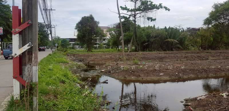 ที่ดินเปล่า, Samut Prakan, Bang Duan, Muang Samut Prakarn, Samut Prakan, , 12,800 sqm, Land For Sale, by สุชัจจ์ แสงสายัณห์, 500427160 - DDproperty.com