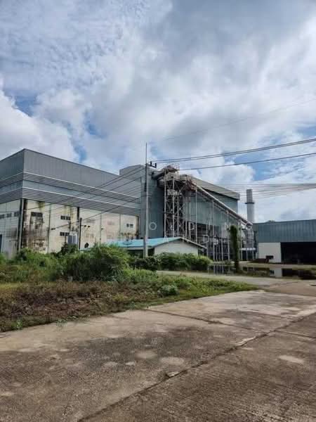 โรงไฟฟ้าชีวมวล 9.9MW สองพี่น้อง สุพรรณบุรี, สุพรรณบุรี, บ่อสุพรรณ, สองพี่น้อง, สุพรรณบุรี, 600 ตร.ม., โกดัง-โรงงาน ขาย, โดย ERA Holding (Thailand) Co., Ltd., 500427192 - DDproperty.com