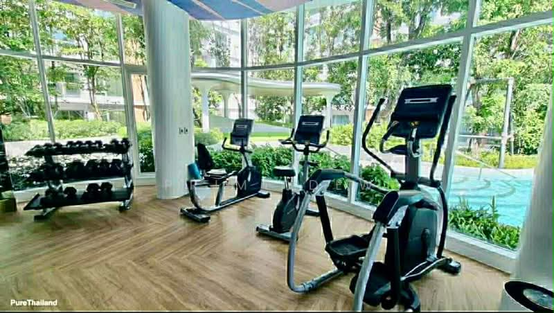 Phyll Phuket : ฟีล ภูเก็ต, ภูเก็ต, 9 หมู่ที่ 4 Muang Naka Rd, วิชิต, เมืองภูเก็ต, ภูเก็ต, 33 ตร.ม., คอนโด ให้เช่า, โดย Prime Dew, 500427250 - DDproperty.com