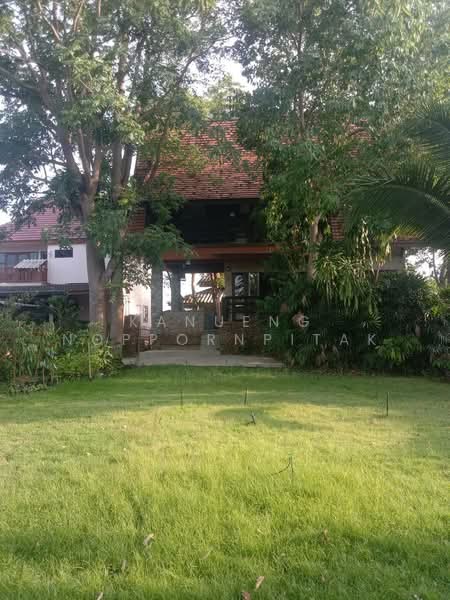 บ้านเดี่ยว สันป่าตอง เชียงใหม่, เชียงใหม่, ยุหว่า, สันป่าตอง, เชียงใหม่, 1,600 ตร.ม., บ้านเดี่ยว ให้เช่า, โดย Kanueng Noppornpitak, 500427284 - DDproperty.com