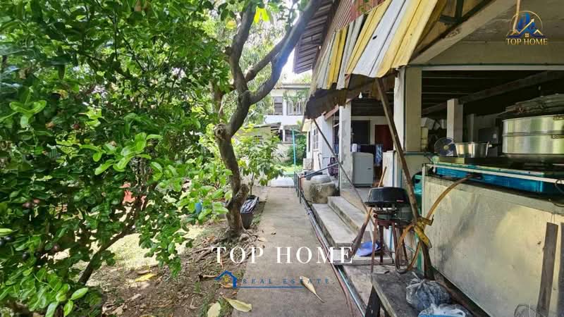 ขายด่วน! ที่ดินแปลงใหญ่ติดถนนวงศ์สว่าง 328 ตร.ว. ทำเลทอง ราคาพิเศษ ขายเท่าราคาประเมินกรมที่ดิน 🔥, Bangkok, Wong Sawang, Bang Sue, Bangkok, , 1,312 sqm, Land For Sale, by คุณเจ, 500427285 - DDproperty.com