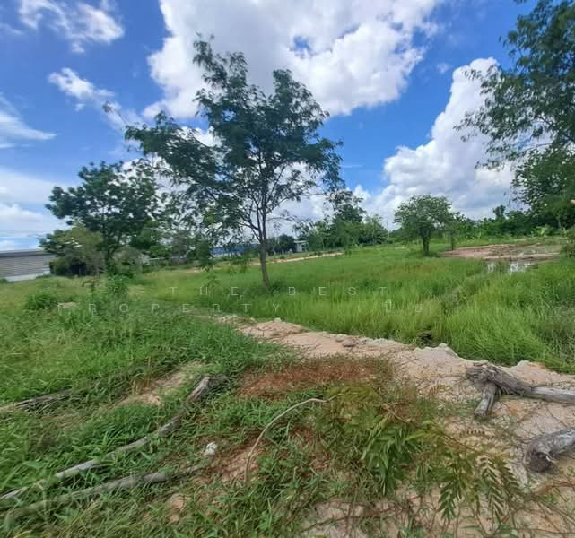 ที่ดินพานทอง ชลบุรี, Chon Buri (Pattaya), Nong Tamlung, Phan Thong, Chon Buri (Pattaya), , 160 sqm, Land For Sale, by The Best Property เปียนโน, 500427307 - DDproperty.com