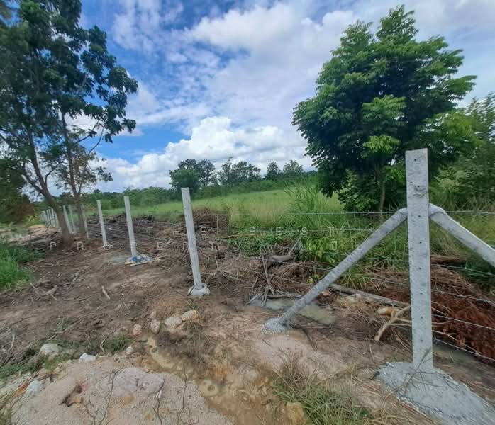 ที่ดินพานทอง ชลบุรี, Chon Buri (Pattaya), Nong Tamlung, Phan Thong, Chon Buri (Pattaya), , 160 sqm, Land For Sale, by The Best Property เปียนโน, 500427307 - DDproperty.com