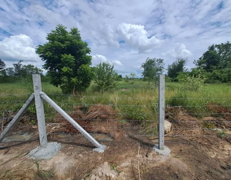 ที่ดินพานทอง ชลบุรี, Chon Buri (Pattaya), Nong Tamlung, Phan Thong, Chon Buri (Pattaya), , 160 sqm, Land For Sale, by The Best Property เปียนโน, 500427307 - DDproperty.com