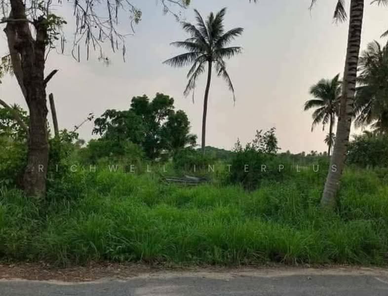 For Sale: 1 Rai Land in Pong, Bang Lamung — Adjacent to a Stream, Road Access, Chon Buri (Pattaya), Nong Pru, Bang Lamung (Pattaya), Chon Buri (Pattaya), , 1,600 sqm, Land For Sale, by RICHWELL INTERPLUS, 500427329 - DDproperty.com