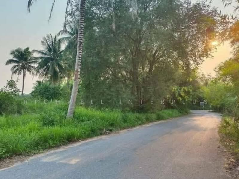 For Sale: 1 Rai Land in Pong, Bang Lamung — Adjacent to a Stream, Road Access, Chon Buri (Pattaya), Nong Pru, Bang Lamung (Pattaya), Chon Buri (Pattaya), , 1,600 sqm, Land For Sale, by RICHWELL INTERPLUS, 500427329 - DDproperty.com