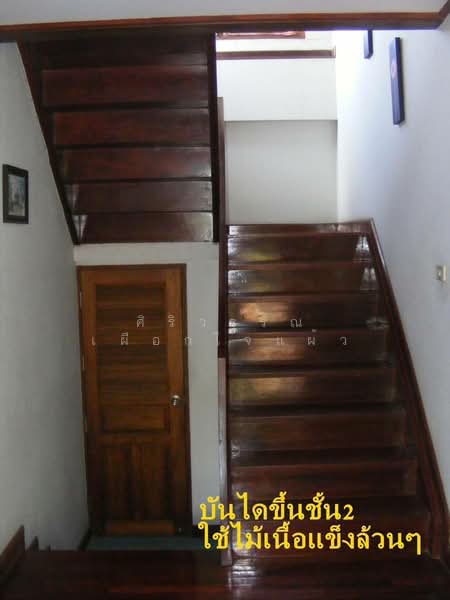 ไม่มี, Nonthaburi, ติวานนท์, Talat Kwan, Muang Nonthaburi, Nonthaburi, 4 Bedrooms, 286 sqm, Single Detached House For Rent, by ศิริวรรณ เผือกใจแผ้ว, 500427388 - DDproperty.com