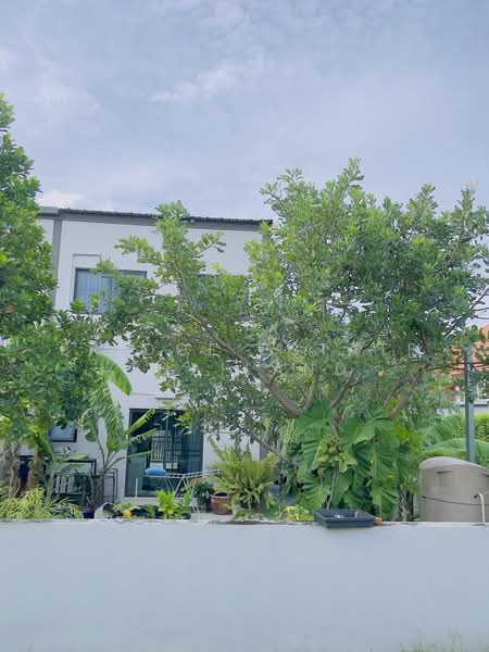 V Compound Tiwanon-Rangsit, Pathum Thani, Tiwanon Road, Bang Kadi, Muang Pathum Thani, Pathum Thani, 3 Bedrooms, 159 sqm, Townhouse For Sale, by Bridge Estate Thailand, 500427410 - DDproperty.com