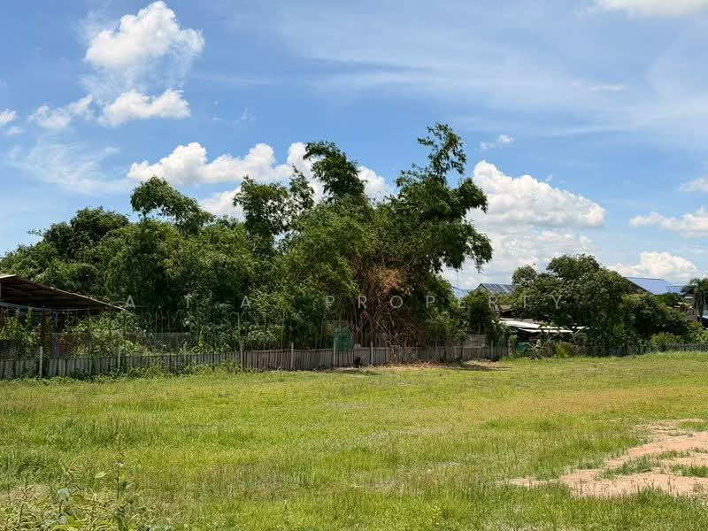ที่ดินทำเลทองห้วยกะปิ หนองมน บางแสน, Chon Buri (Pattaya), Huai Kapi, Muang Chon Buri, Chon Buri (Pattaya), , 6,560 sqm, Land For Sale, by A.T.A. Property, 500427415 - DDproperty.com