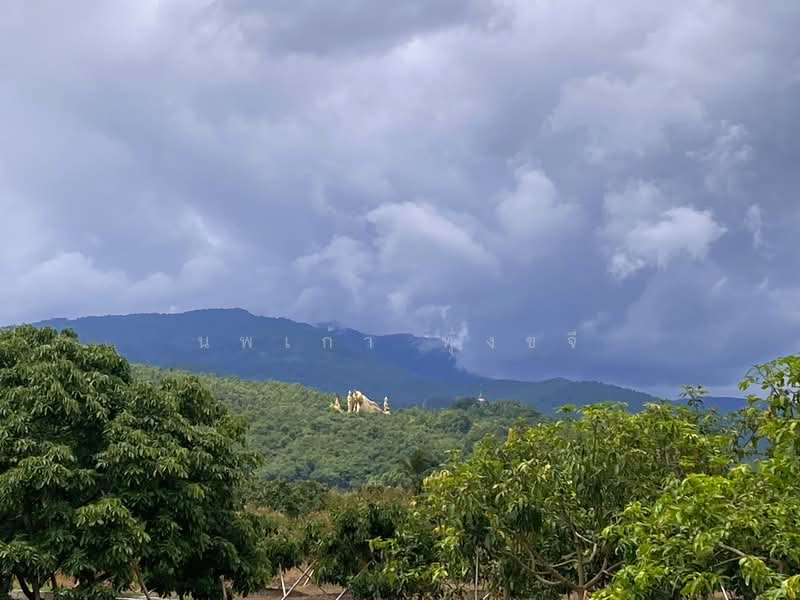 Land in Chiang Mai (Chom Thong), Chiang Mai, , Sop Tia, Chom Thong, Chiang Mai, , 400 sqm, Land For Sale, by นพเก้า ทุ่งขจี, 500427424 - DDproperty.com