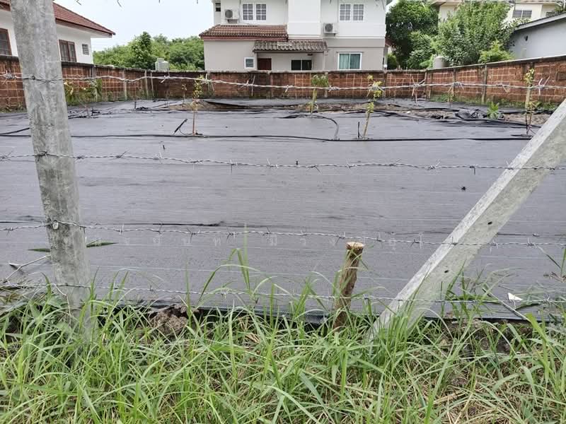 Land 100 sqw. for Detached House in Paradise Ville near Mahidol University, Bangkok, ศาลาธรรมสพน์, Sala Thammasop, Thawi Watthana, Bangkok, , 400 sqm, Land For Sale, by Chanitnun Mewongukote, 500427449 - DDproperty.com